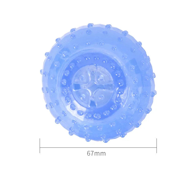 Freezable Dog Chew Toys – Ice Series Teething Balls & Bones for Summer