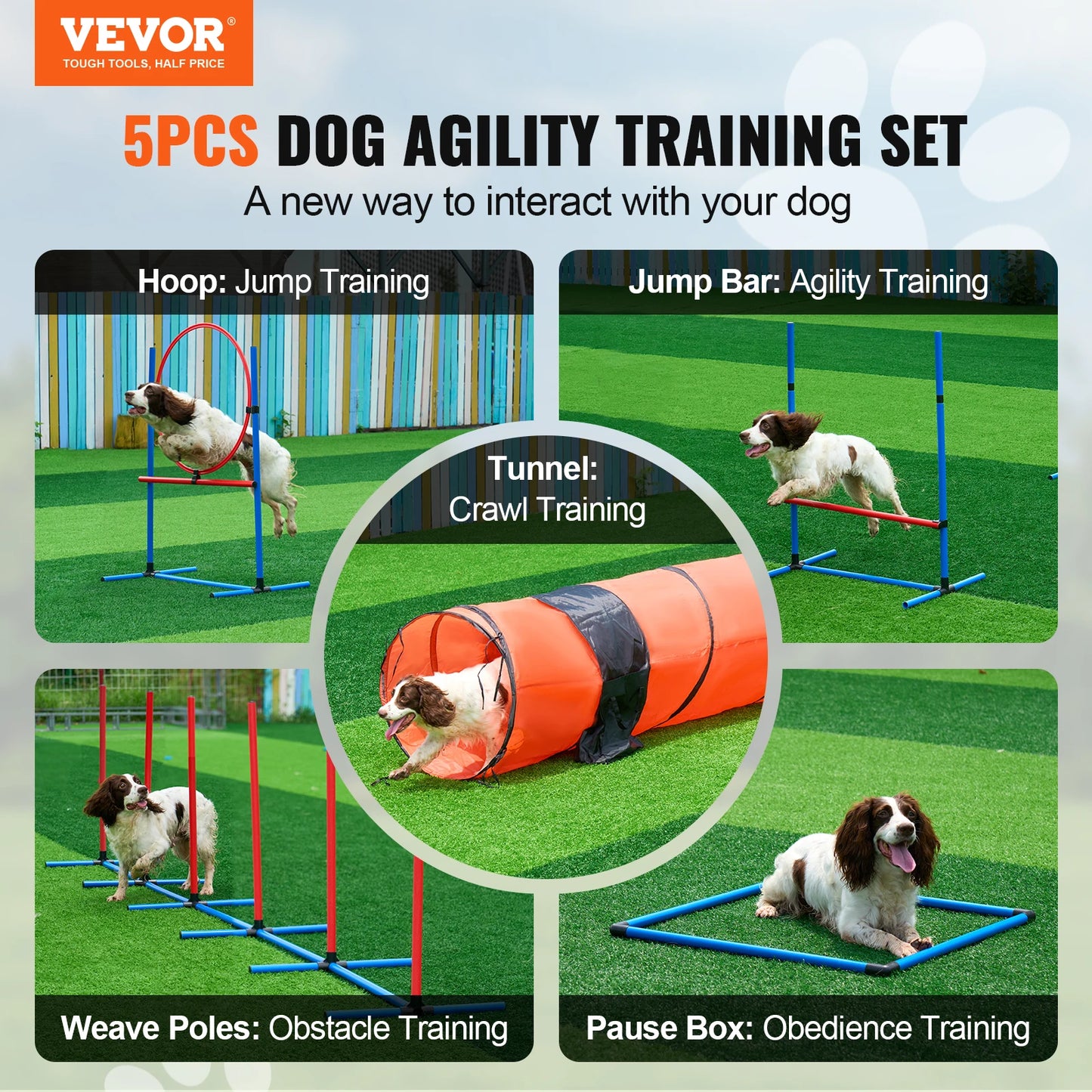 Dog Agility Training Set (5-Piece)