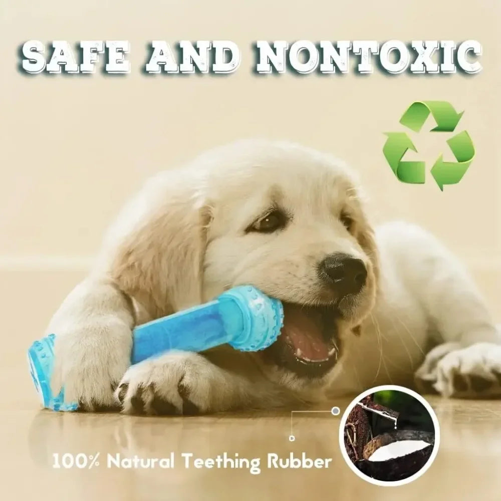 Freezable Dog Chew Toys – Ice Series Teething Balls & Bones for Summer