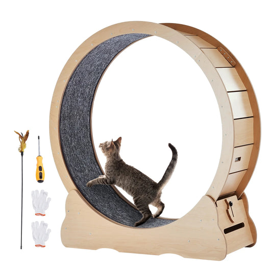 Wooden Cat Exercise Wheel with Cat Teaser
