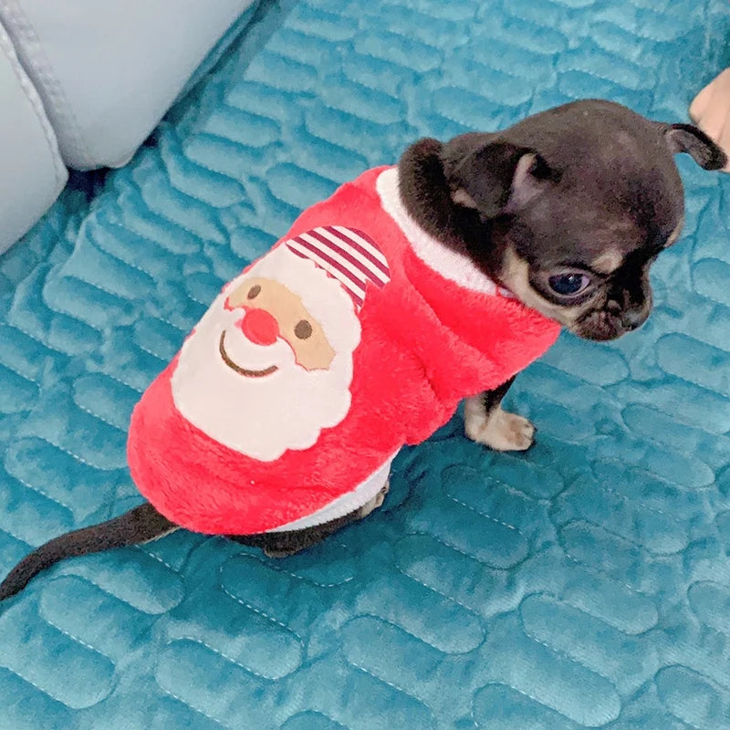 Tea Cup Dog Sweater – Cozy Fleece Pullover for Small Dogs