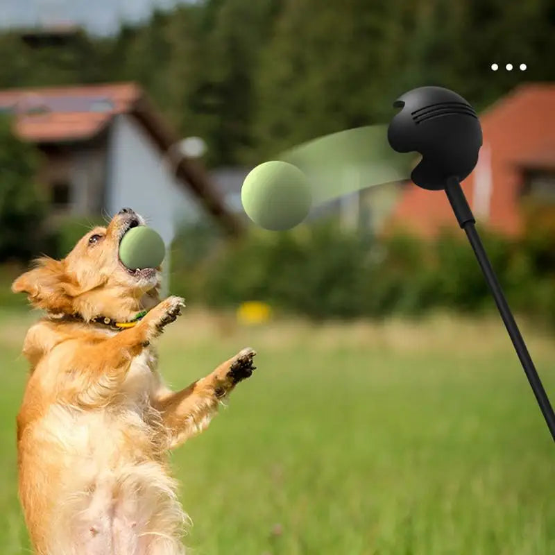 Dog Ball Launcher Stick – Outdoor Fetch & Training Toy for Dogs